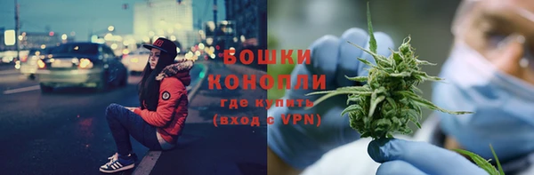 ешки Медногорск