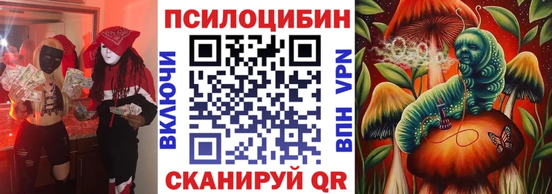 где найти наркотики  Ахтубинск  Галлюциногенные грибы Psilocybine cubensis 